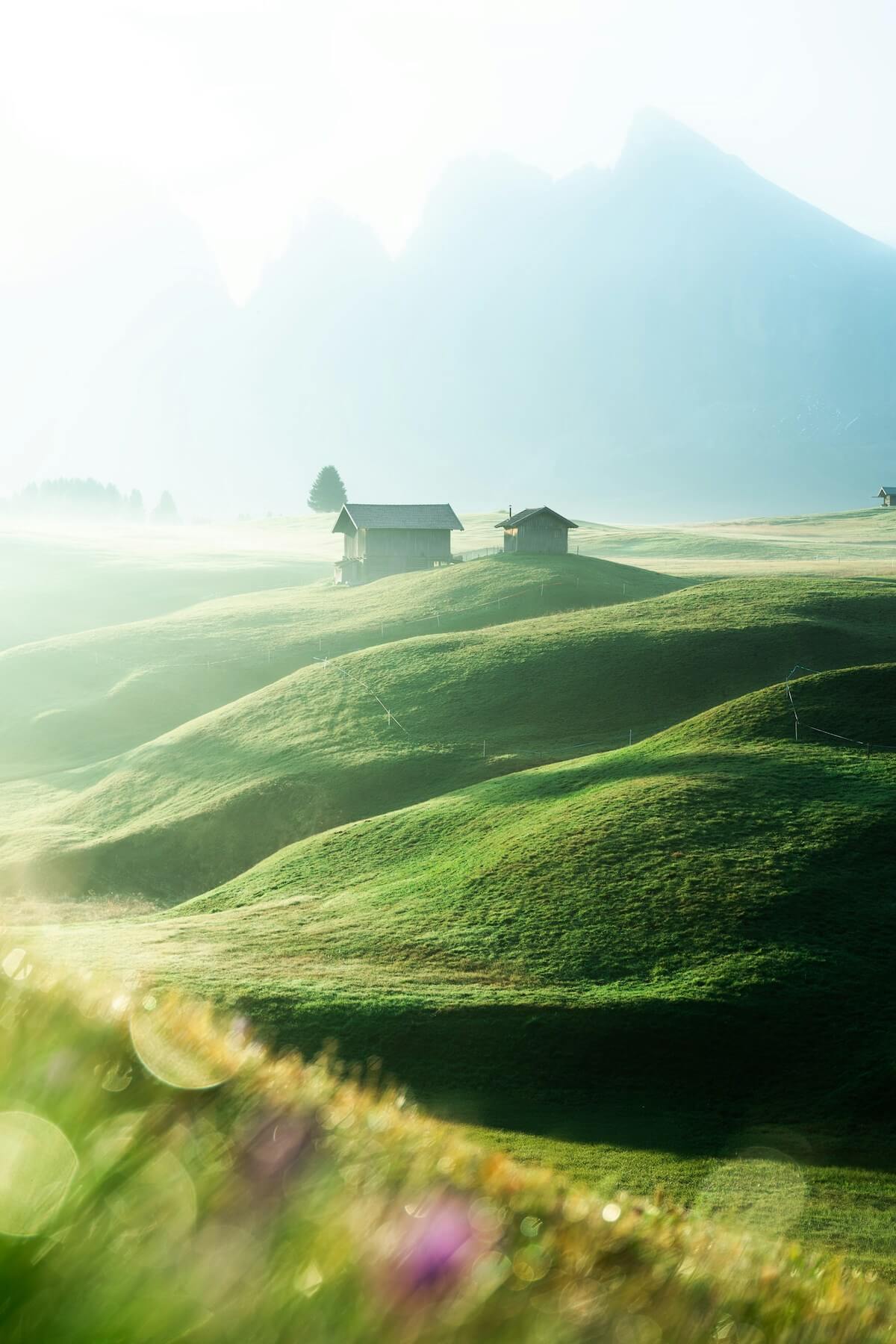 Dan Asaki Virnxv87cro Unsplash
